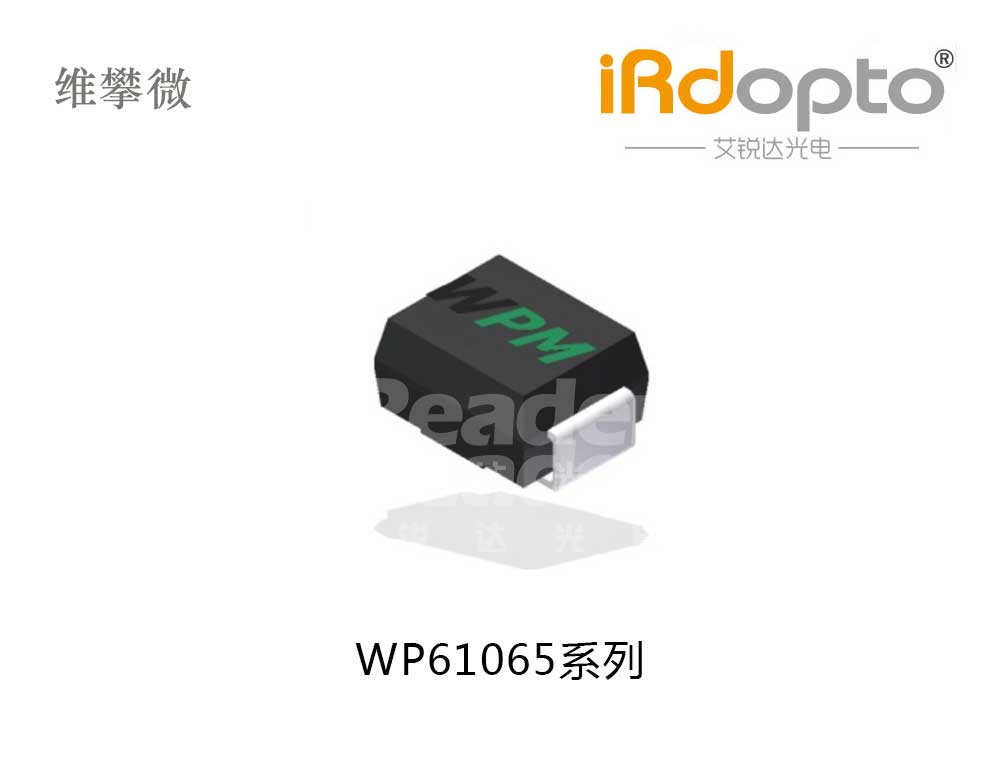 维攀微WP61065系列 RS485接口 保护管